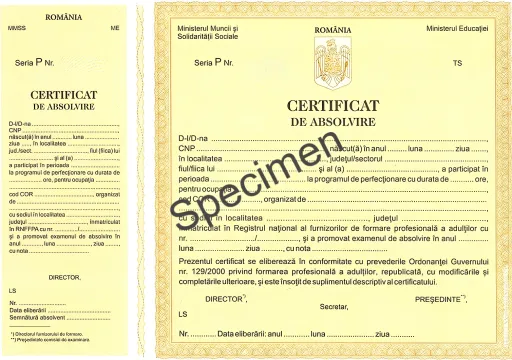 Vitality Massage - Certificat